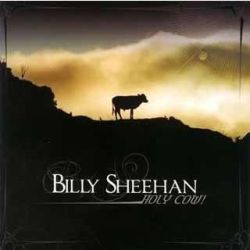 Billy Sheehan
