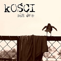 Kości
