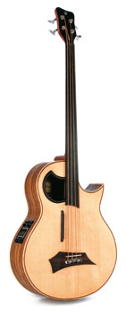 Warwick Alien Acoustic