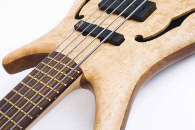 Warwick Infinity 5