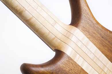 Warwick Infinity 5