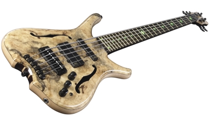 Warwick Infinity 5