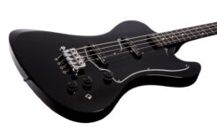 Gibson Krist Novoselic Signature RD Bass