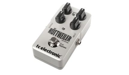 Rottweiler Distortion
