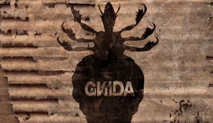 Płyta zespołu Gnida - „S.Y.F.”