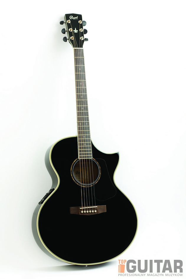 Gitara Cort NDX 20 