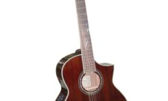 Pierwsza gitara 12 strunowa Ibanez z serii Exotic Wood 