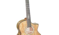 Nowy limitowany model gitary Ibanez EW50SME NT