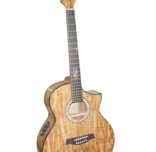 Nowy limitowany model gitary Ibanez EW50SME NT