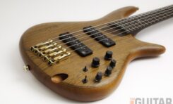 Ibanez Premium SR 1205 - test gitary basowej