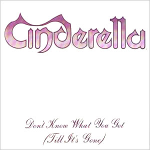 cinderella dont know what you got cinderella dont know what you got