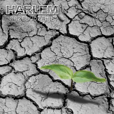 harlem przebudzenie harlem przebudzenie
