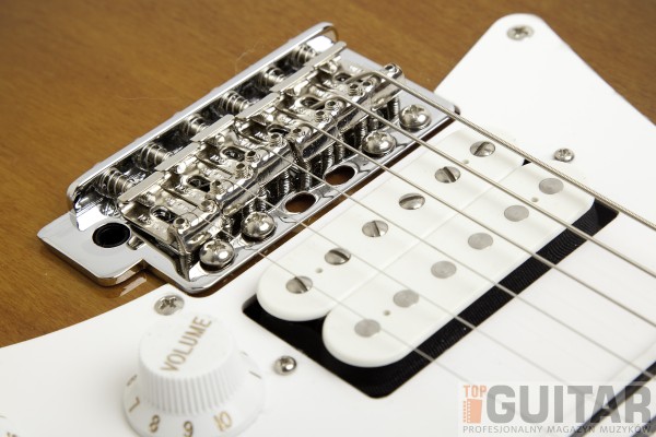 Ibanez AT-10 Premium