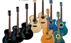 Gitary akustyczne Luna Guitars w Polsce
