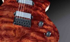 Framus Panthera Custom Shop - gitara miesiąca