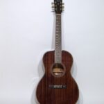 Schecter GLP-1 01