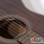 Schecter GLP-1 02