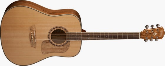 Washburn USM-WCSD42S_560