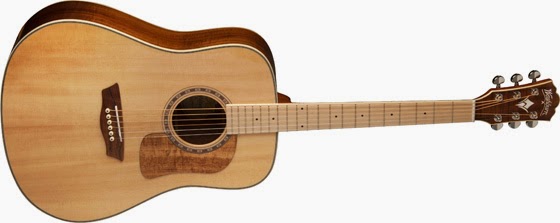 Washburn USM-WCSD50S_560