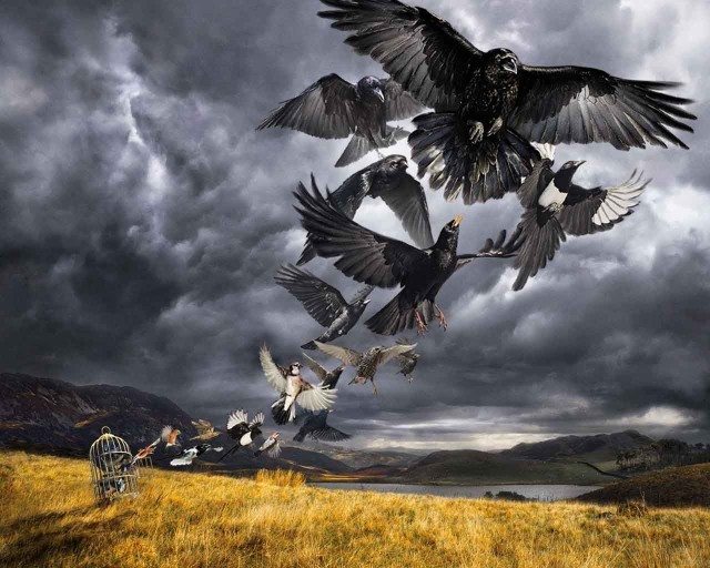 david gilmour rattle that lock