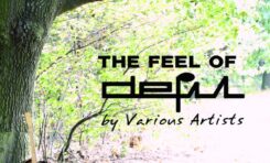 Projekt "The Feel of DEFIL"