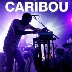 caribou
