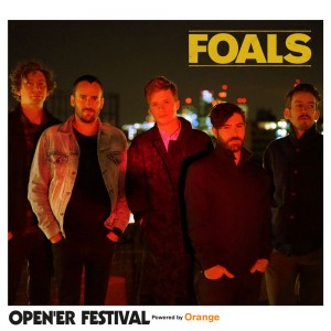 foals