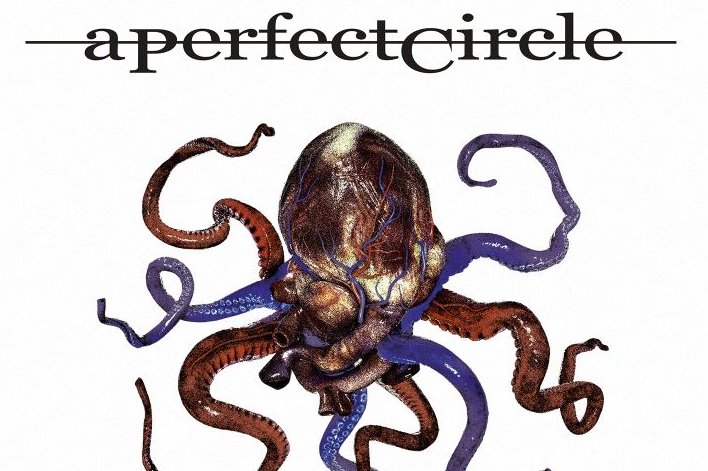 A Perfect Circle