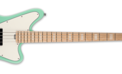 LTD GB-4 Seafoam Green / GB-4 Black