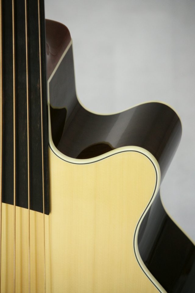 Warwick RB Alien DeLuxe Fretless