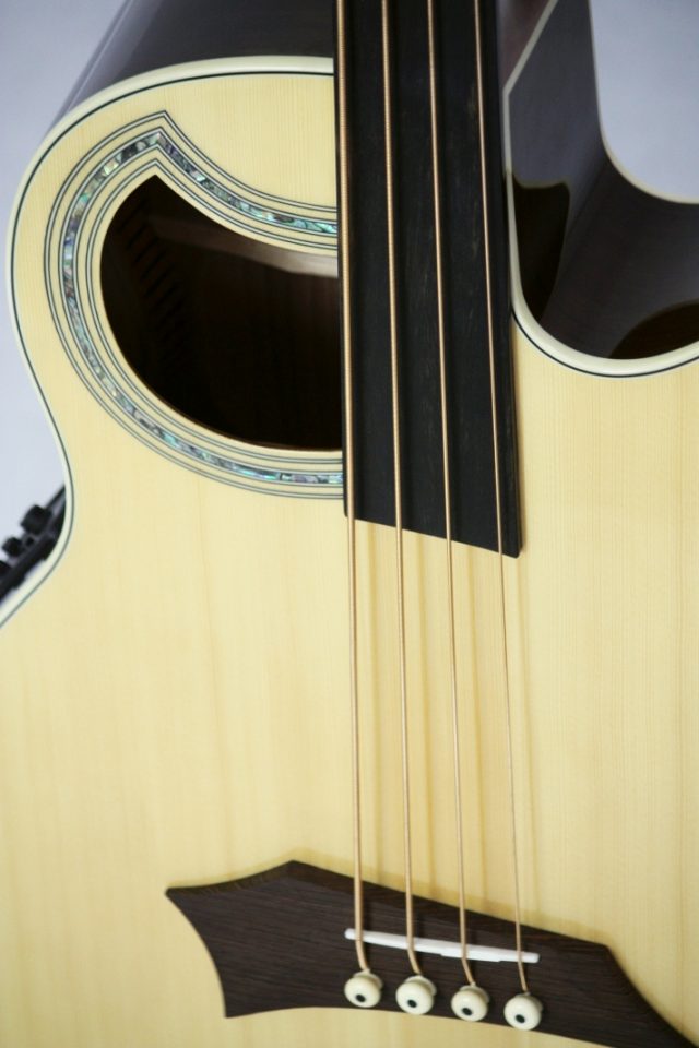 Warwick RB Alien DeLuxe Fretless