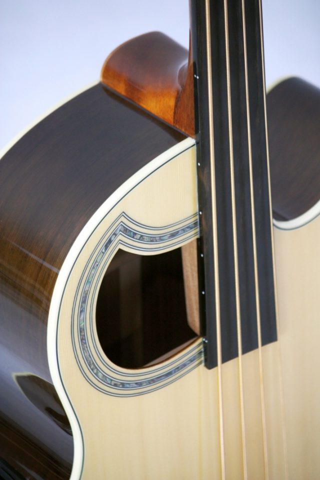 Warwick RB Alien DeLuxe Fretless