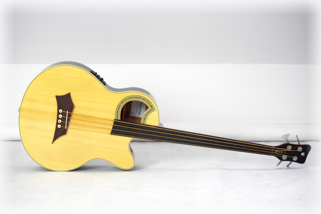 Warwick RB Alien DeLuxe Fretless