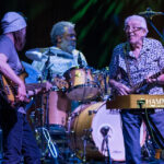 John Mayall, fot. Sobiesław Pawlikowski
