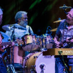 John Mayall, fot. Sobiesław Pawlikowski