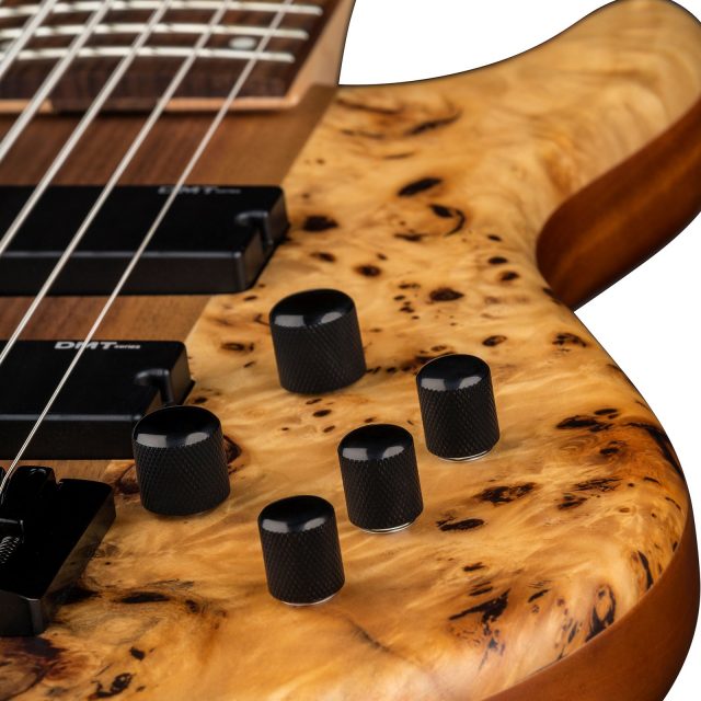 Dean Edge Select Burled Poplar SN