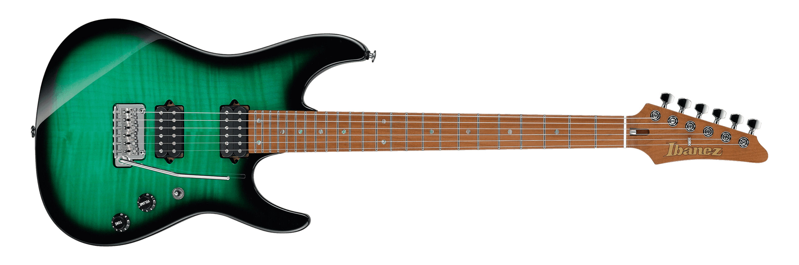 Ibanez MSM100