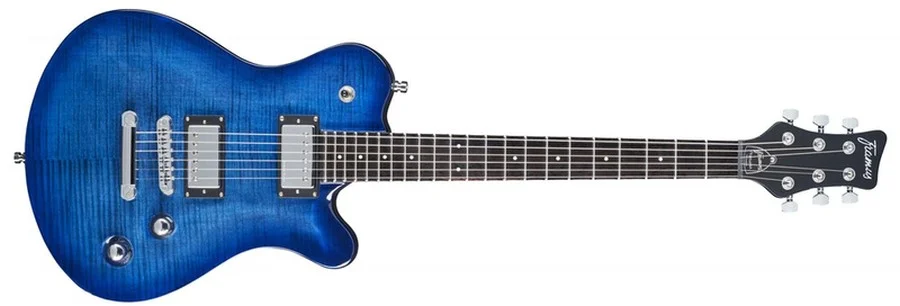 Framus D-Series Panthera Supreme - TopGuitar.pl