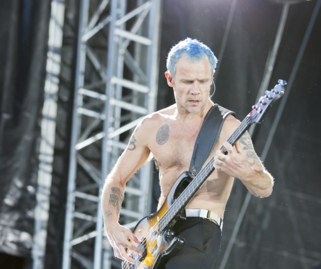 Flea