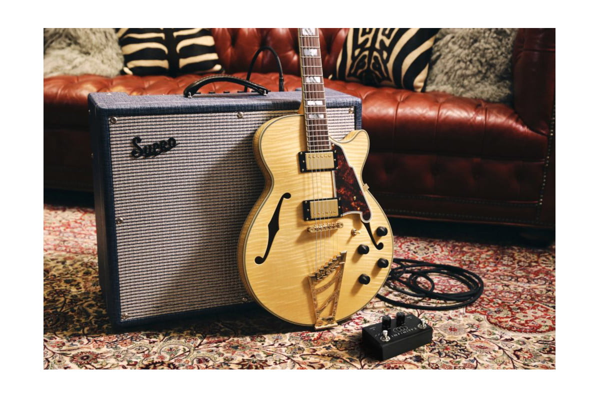 D’Angelico Guitars Supro Pigtronix