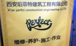 Czy Chińczycy skopiowali logo zespołu Perfect?