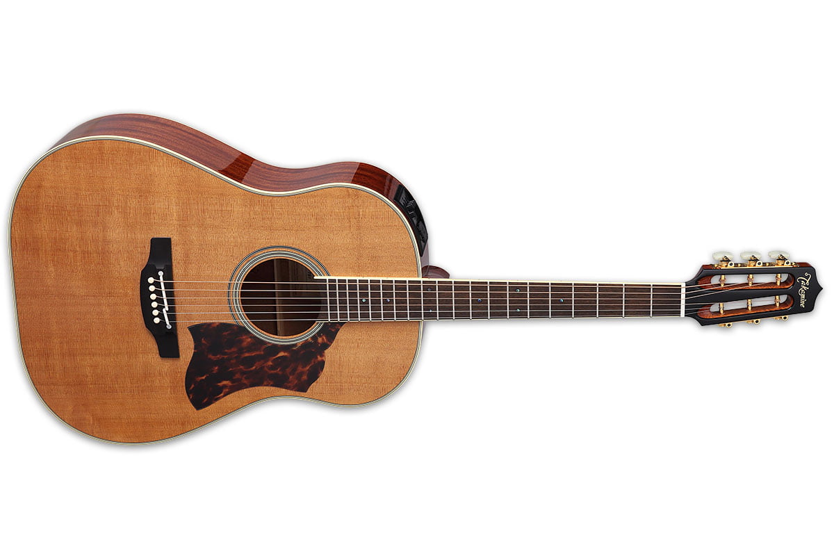 Takamine CRN-TS1