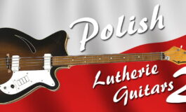 Projekt gitarowy Polskie Gitary Lutnicze - druga edycja