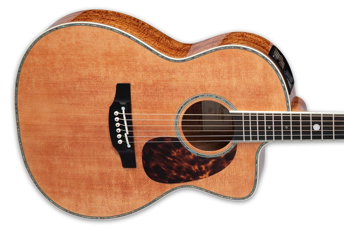 Takamine prezentuje limitowaną gitarę LTD2022