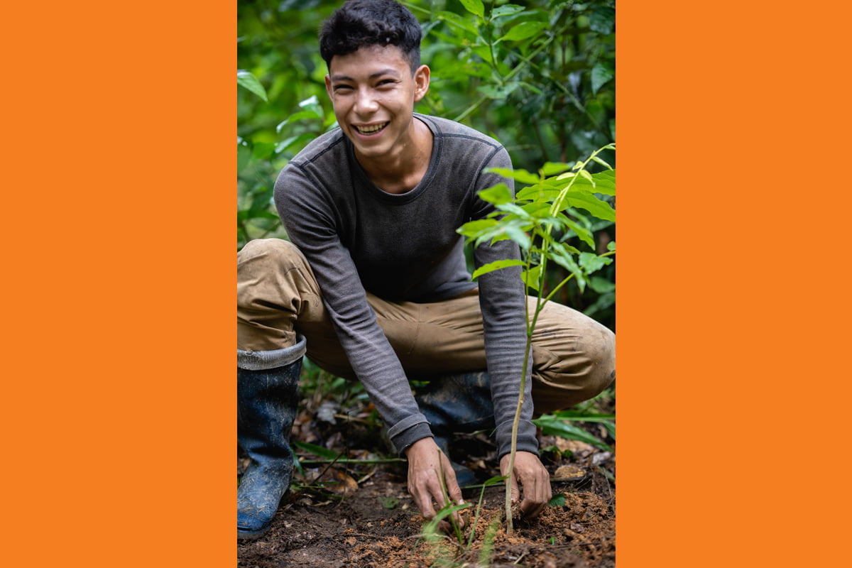 Orange Learn & One Tree Planted (fot. Ben Hemmings)