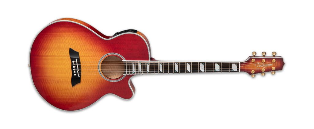 Takamine TSP178AC (fot. Takamine Guitars)