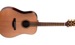 FN15 AR – limitowana gitara firmy Takamine