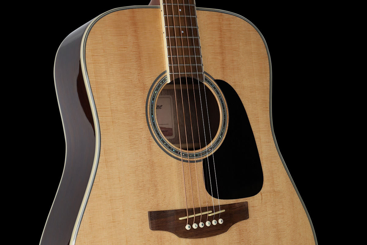 Takamine GD51 (fot. Takamine)