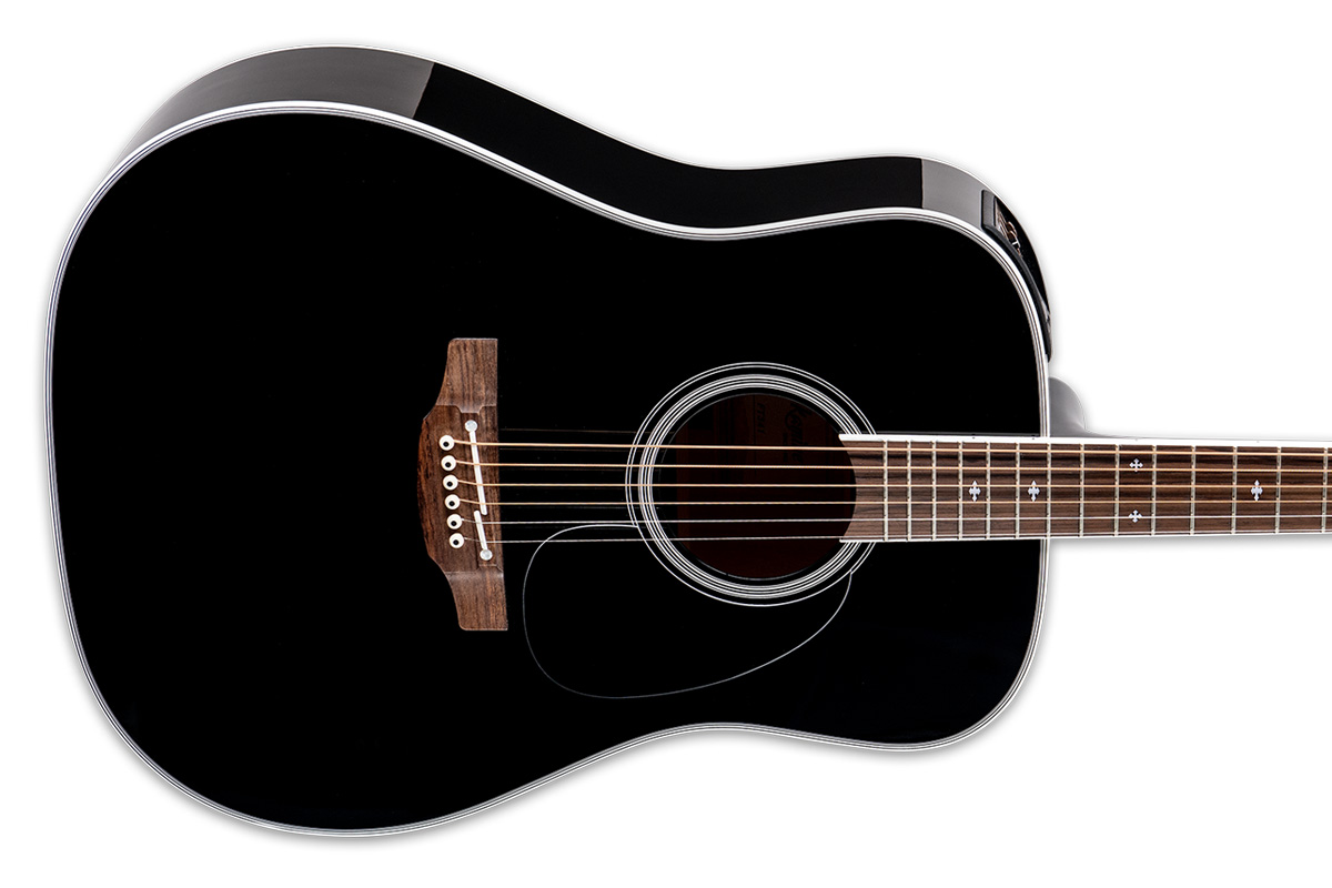 Takamine FT341 (fot. Takamine Guitars)