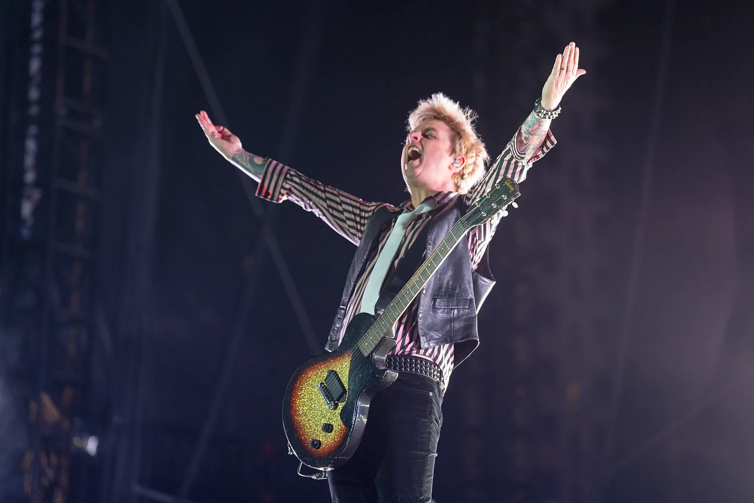 Green Day, fot. Geoffrey Clowes / Shutterstock.com